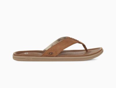 UGG Brookside Flip Slides for Mens - Chestnut/Brown India